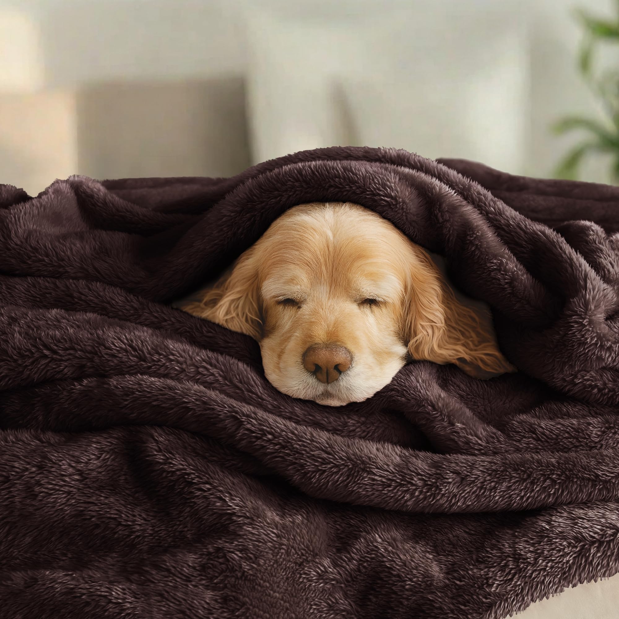 Exclusivo Mezcla Fuzzy Plush Fleece Bed Blanket Twin XL Size, Coffee
