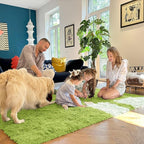 OLANLY 2x5 Machine Washable Runner Rugs for Hallway, Soft Fluffy Shaggy Bedside Rugs for Bedroom, Living Room, Indoor Floor Carpet for Kids Girls Boy, Nursery Rooms, Home Decor Aesthetic, Grass Green