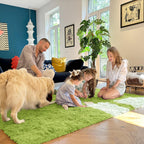 OLANLY 5x8 Machine Washable Large Area Rugs for Living Room, Bedroom, Soft Fluffy Shaggy Bedside Rug, Indoor Floor Carpet for Kids Girls and Boys, Dorms, Nursery, Home Decor Aesthetic, Grass Green