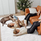 Chicrug Soft Area Rugs for Bedroom Living Room Plush Fluffy Rug 9x12 Feet, Shag Furry Area Rug Carpet Non Shedding for Nursery Children Kids Girls Room Home Decorative, Cream