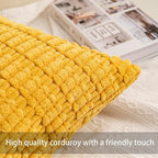 Pack of 2 Corduroy Decorative Throw Pillow Covers 12x20 InchSoft Boho Striped Pillow Covers Modern Farmhouse Home Decor for Sofa Living Room Couch Bed（Yellow）