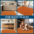 OLANLY Dog Door Mat for Muddy Paws 59x32, Super Absorbent Chenille Mud Mat