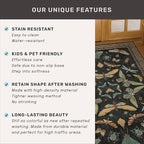 Hazo Haus Black Front Door Mat Indoor Entrance Non Slip Washable - 3x4 Throw Rug for Kitchen, Mudroom, Bedroom Bedside, Insect Boho Vintage Aesthetic Décor