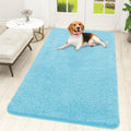 OLANLY Dog Door Mat for Muddy Paws 59x32, Super Absorbent Chenille Mud Mat