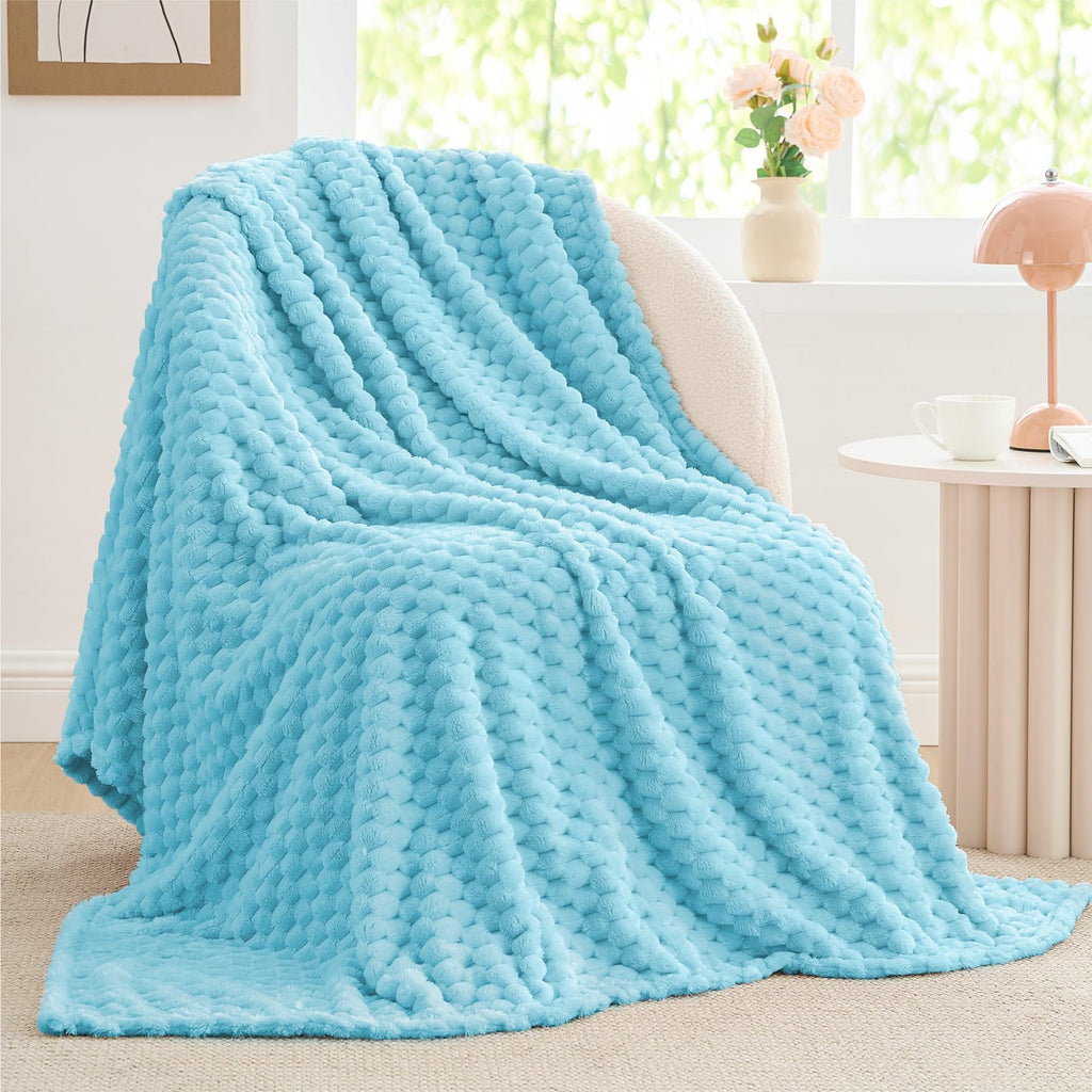 BEDELITE Light Blue Throw Blanket for Couch, Soft Gifts for Women, 50 * 60