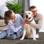 Lahome Enfys Modern Geometric Outdoor Easy Jute Rug, 3x5 Indoor Outdoor Rugs for Entryway Black Living Room Carpet, Farmhouse Washable Non Slip Carpet for Patio Courtyard Bedroom