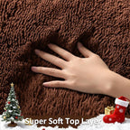 Ophanie 8x10 Brown Area Rugs for Living Room, Large Shag Bedroom Carpet, Big Indoor Thick Soft Shaggy Nursery Rug, Fluffy Carpets for Boy and Girls Room Dorm Home Decor Aesthetic