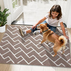 OLANLY Front Door Mat, Non-Slip Rubber Backing, Dirt Resistant and Absorbent, Washable, Easy to Clean Low-Profile Indoor Doormat for Back Door, Entryway, Inside Entrance, 36x24, Brown