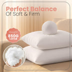 Utopia Bedding 24x24 Pillow Inserts, White Throw Pillows for Couch, 2 Pack
