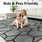 6x9 Fluffy Area Rugs for Living Room,Shag Area Rug for Bedroom,Geometric Soft Fuzzy Rug Non-Shedding Indoor Plush Carpet for Kids Bedroom Nursery Home Decor,Grey and Black