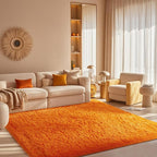 Ophanie Orange Fall Rugs for Bedroom Living Room, Fluffy Fuzzy Furry Carpet, Plush Soft Shaggy Bedside Indoor Floor 4x6 Area Rug for Kids Girls Boys Baby Teen Dorm Nursery Home Decor Aesthetic