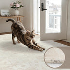 6x9 Area Rugs for Living Room: Vintage Boho Neutral Washable Rug Indoor Soft Large Area Rug Carpet for Bedroom Nursery Farmhouse Dining Room Office Floor Non-Slip Low Pile Under Table Rug Cream Beige