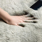 Ashler Home Deco Faux Fox Fur Area Rug, Green White Brown Fluffy, 2x3 ft, High Pile, Rectangular, Indoor, Animals Theme, Portable, Sturdy, Spot Clean Only
