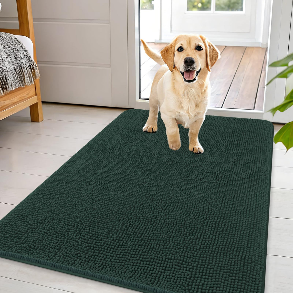 OLANLY Dog Door Mat for Muddy Paws 44x32, Super Absorbent Chenille Mud Mat