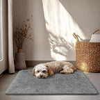 2x3 Fluffy Area Rugs for Bedroom Living Room,Small Soft Shag Fuzzy Rug Non-Shedding Indoor Plush Carpet for Kids Bedroom Nursery Dorm Home Decor,Deep Grey