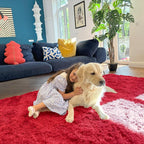 OLANLY 5x8 Machine Washable Large Area Rugs for Living Room, Bedroom, Soft Fluffy Shaggy Bedside Rug, Indoor Floor Carpet for Kids Girls and Boys, Dorms, Nursery, Home Decor Aesthetic, Red