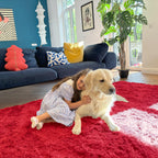 OLANLY 6x9 Machine Washable Large Area Rugs for Living Room, Bedroom, Soft Fluffy Shaggy Bedside Rug, Indoor Floor Carpet for Kids Girls and Boys, Dorms, Nursery, Home Decor Aesthetic, Red