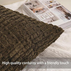 Aegero Pack of 2 Corduroy Decorative Throw Pillow Covers 20x20 Inch, Green