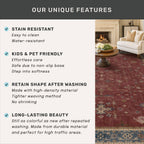Washable 3x6 Entry Way Rugs Indoor - Burgundy Large Kitchen Rug, Non Slip Unique Bohemian Red Low Pile Thin Carpet for Bedroom Bedside, Foyer