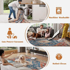 Area Rug 5x7 Washable Rug, Vintage Boho Medallion Rugs Non-Slip Soft Low Pile Large Distressed Rug Indoor Retro Carpet for Living Room Bedroom Dining Room Office (TribalMedallionMulti, 5'x7')