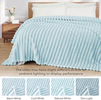 Exclusivo Mezcla Twin Size Flannel Fleece Blanket, Super Soft Striped Jacquard Bed Blanket, Lightweight Fuzzy Cozy for All Seasons, 60x80 Inches, Light Blue
