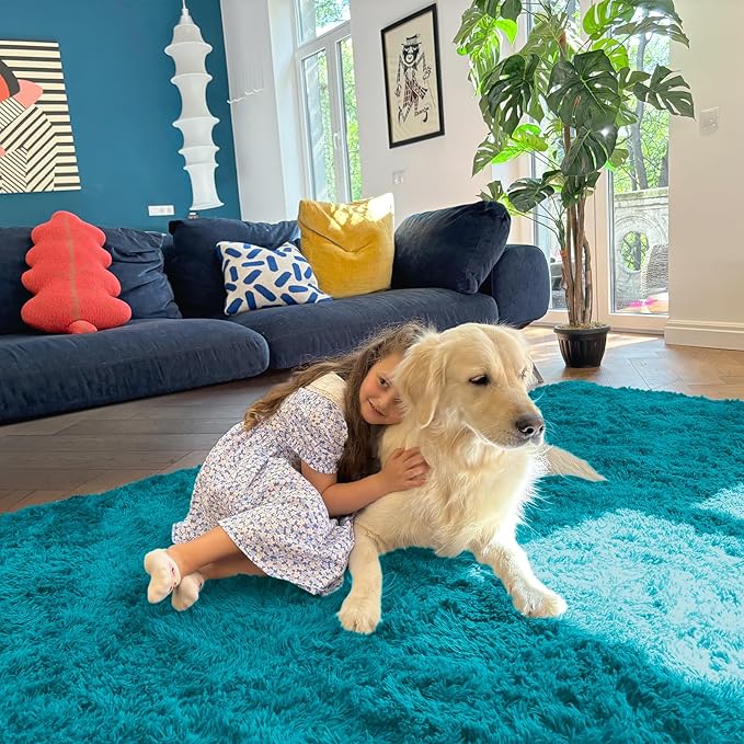OLANLY 6x9 Machine Washable Large Area Rugs for Living Room, Bedroom, Soft Fluffy Shaggy Bedside Rug, Indoor Floor Carpet for Kids Girls and Boys, Dorms, Nursery, Home Decor Aesthetic, Teal