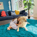 OLANLY 9x12 Machine Washable Large Area Rugs for Living Room, Bedroom, Soft Fluffy Shaggy Bedside Rug, Indoor Floor Carpet for Kids Girls and Boys, Dorms, Nursery, Home Decor Aesthetic, Teal