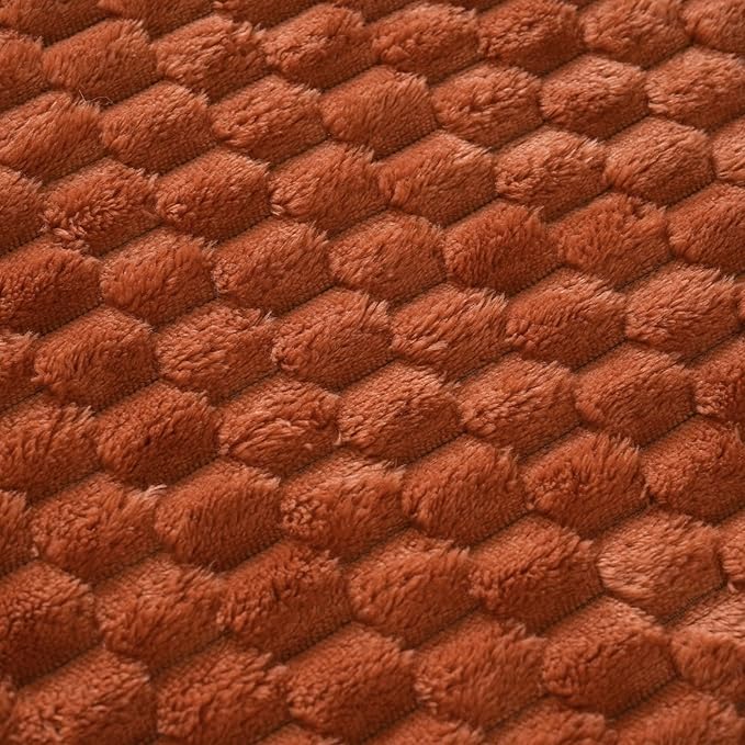 Puncuntex Burnt Orange Throw Blanket 50"×60" inches Fuzzy 3D Jacquard Decorative Flannel Fleece Super Soft Plush Cozy Blanket for Couch Sofa Chair Lightweight