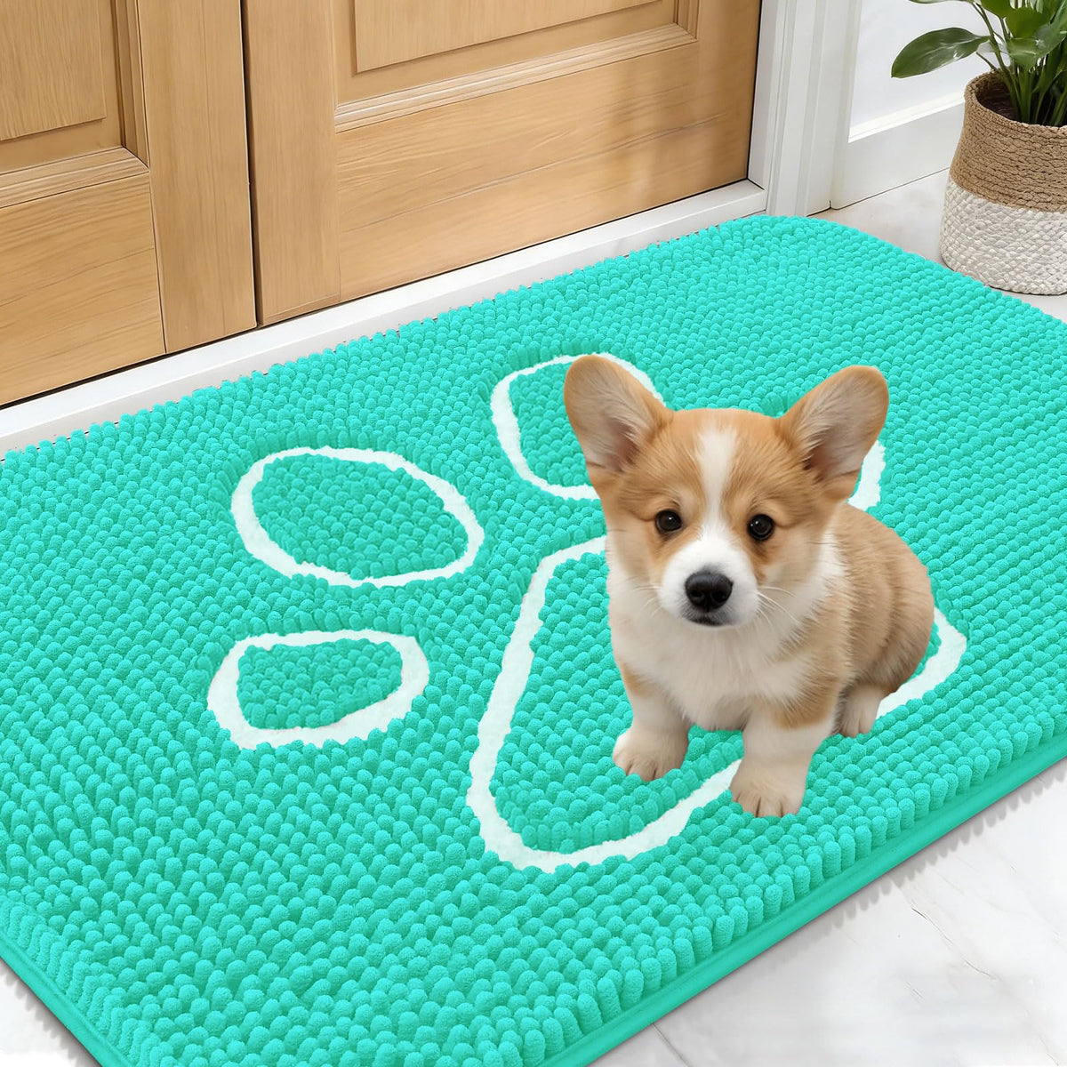 OLANLY Dog Door Mat for Muddy Paws 24x16, Super Absorbent Chenille Mud Mat