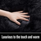 LOCHAS Soft Fluffy Faux Fur Rugs for Bedroom Bedside Rug 3x5 Feet, Washable, Furry Sheepskin Area Rug for Living Room Girls Room, Luxury Shag Carpet Home Decor, Black