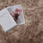 Goolela Fluffy Faux Fur Rug for Bedroom 4x6 Light Brown Beige Sheepskin Fuzzy Furry Soft Rug for Living Room Bedside Dorm Plush Shaggy Washable Rectangle