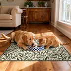 Othilic Boho Outdoor Rug - 28" x 43" Front Door Mat Indoor Outside Entrance