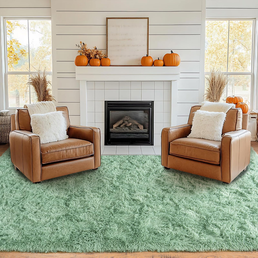 Pionblank Large Rug for Living Room 6x9, Modern Shag Area Rug, Mint Green