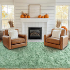 Pionblank Large Rug for Living Room 6x9, Modern Shag Area Rug, Mint Green