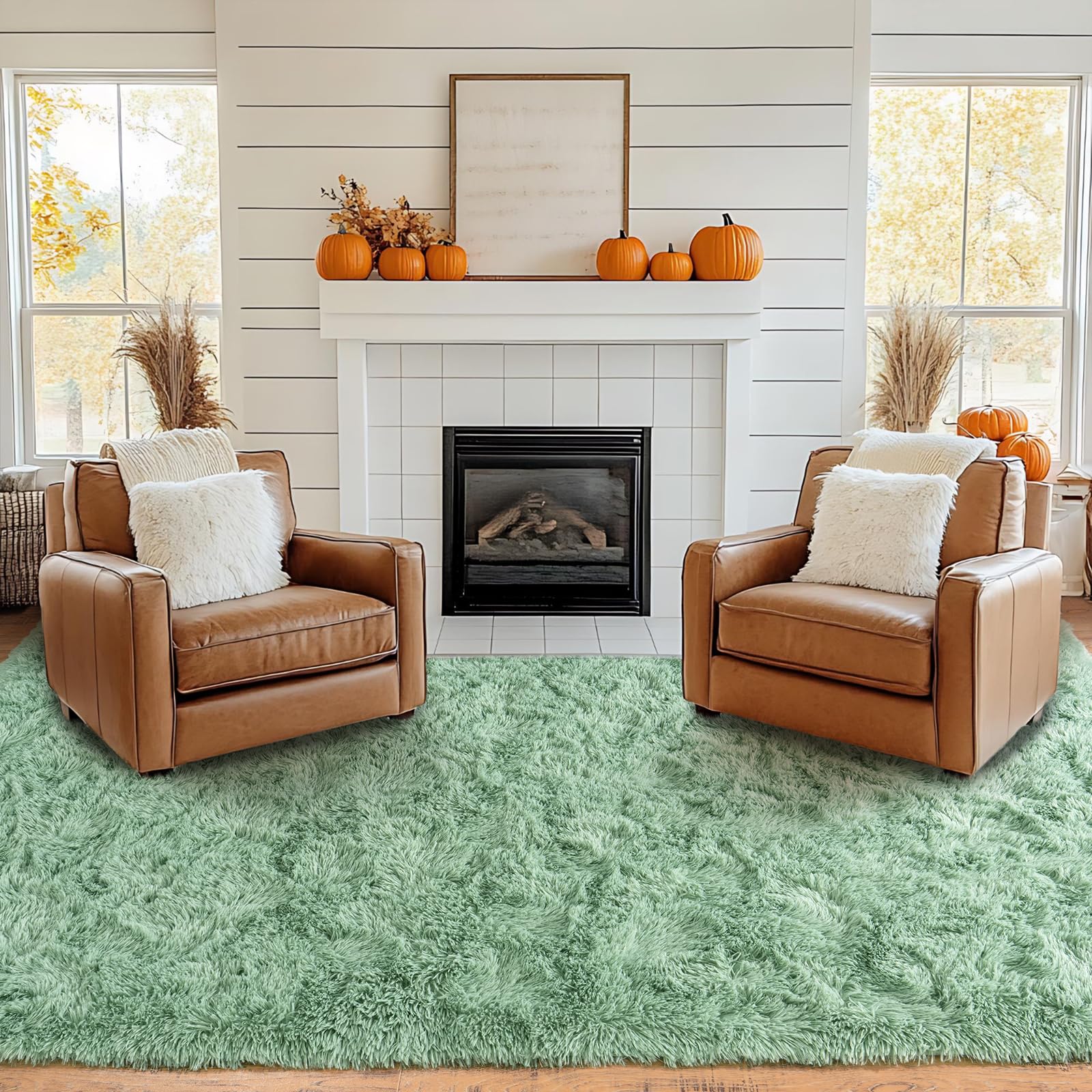 Pionblank Large Rug for Living Room 6x9, Modern Shag Area Rug, Mint Green