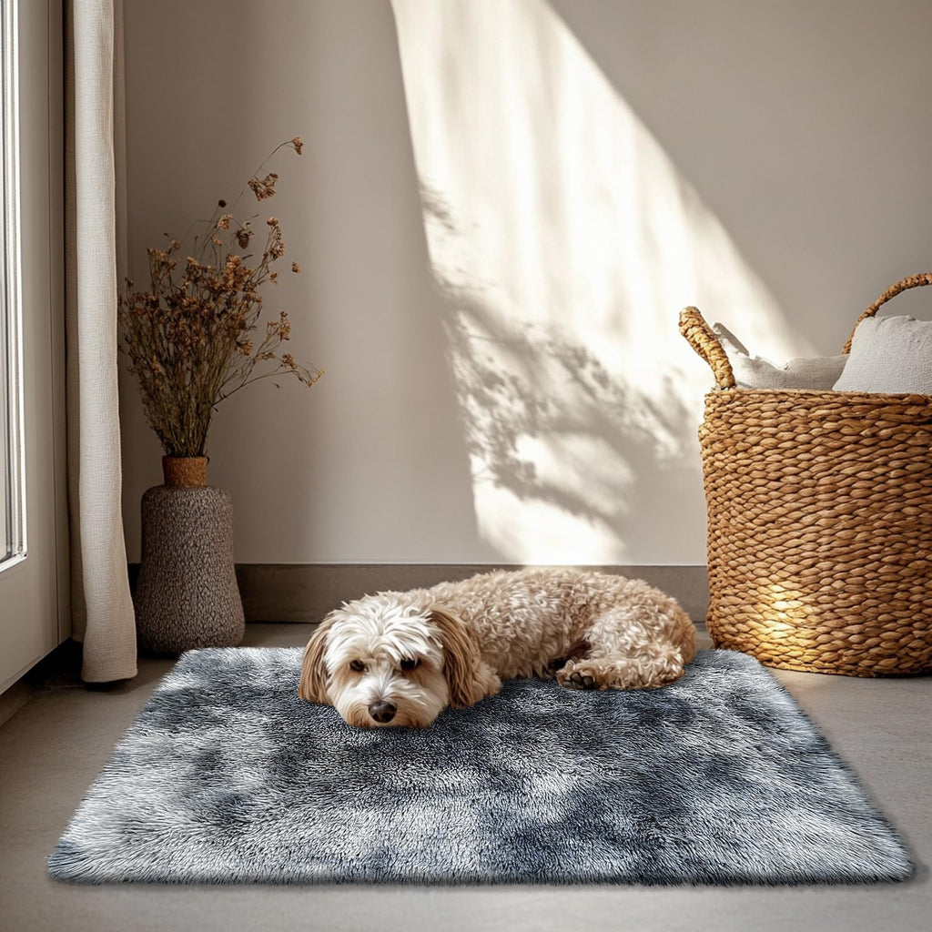 yulidayang 2x3 Area Rugs for Bedroom,Mottling Black Small Fluffy Shag Rug