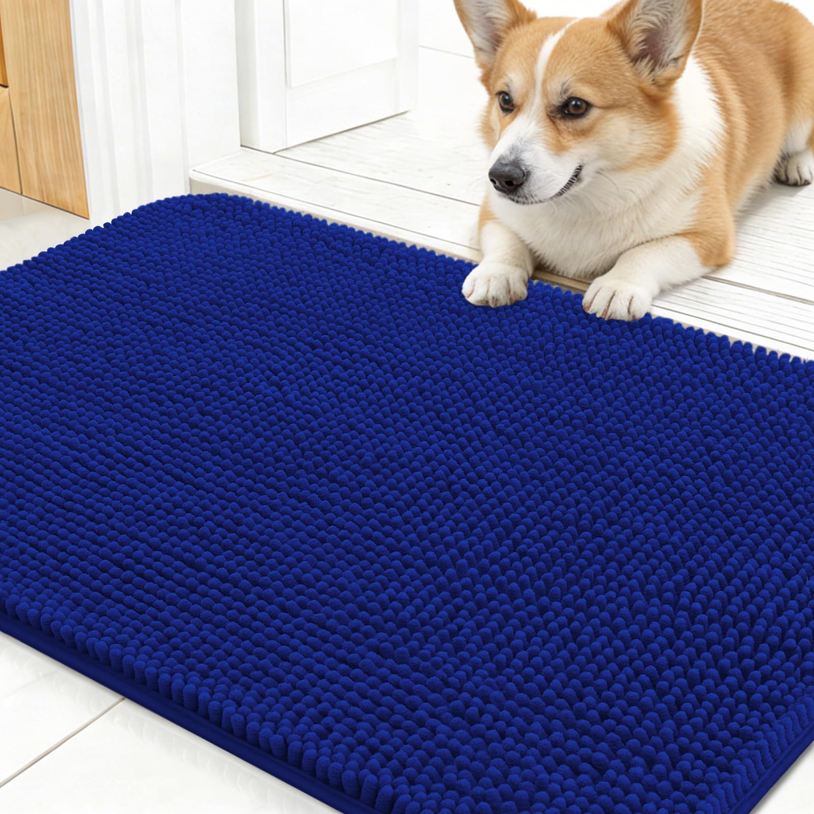 OLANLY Dog Door Mat for Muddy Paws 24x16, Super Absorbent Chenille Mud Mat