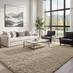 5x8 Area Rugs for Living Room: Soft Fluffy Shag Gray Camel Rugs for Bedroom, Non Slip Large Fuzzy Plush Rug Indoor Floor Carpet for Nursery Kids Boys Girls Room, Dorms, Playroom, Modern Home Decor