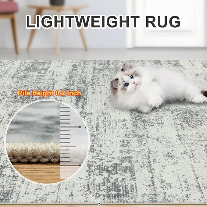 PLHXFR 8x10 Area Rug Living Room: Modern Abstract Washable Carpet Grey