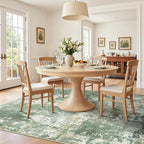 RELEANY Washable 5'x7' Abstract Area Rug for Living Room Light Green