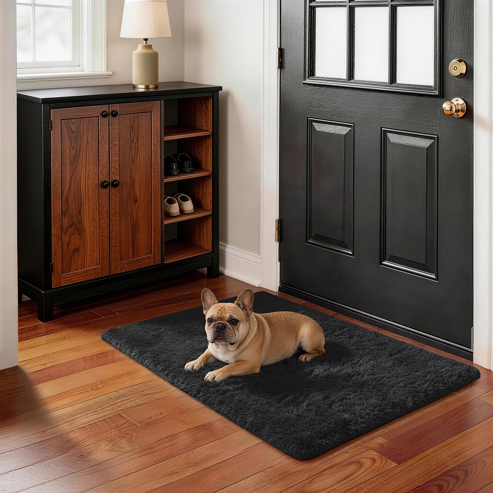 Ophanie Small Black Entryway Throw Rugs for Bedroom, 2x3 Mini Area Rug, Affordable Non Slip Fluffy Carpet, Fuzzy Soft Living Room Rug, Home Decor Aesthetic, Nursery