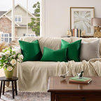 GIGIZAZA Green Velvet Pillow Covers 20x20 Decorative Pillows Pack of 2