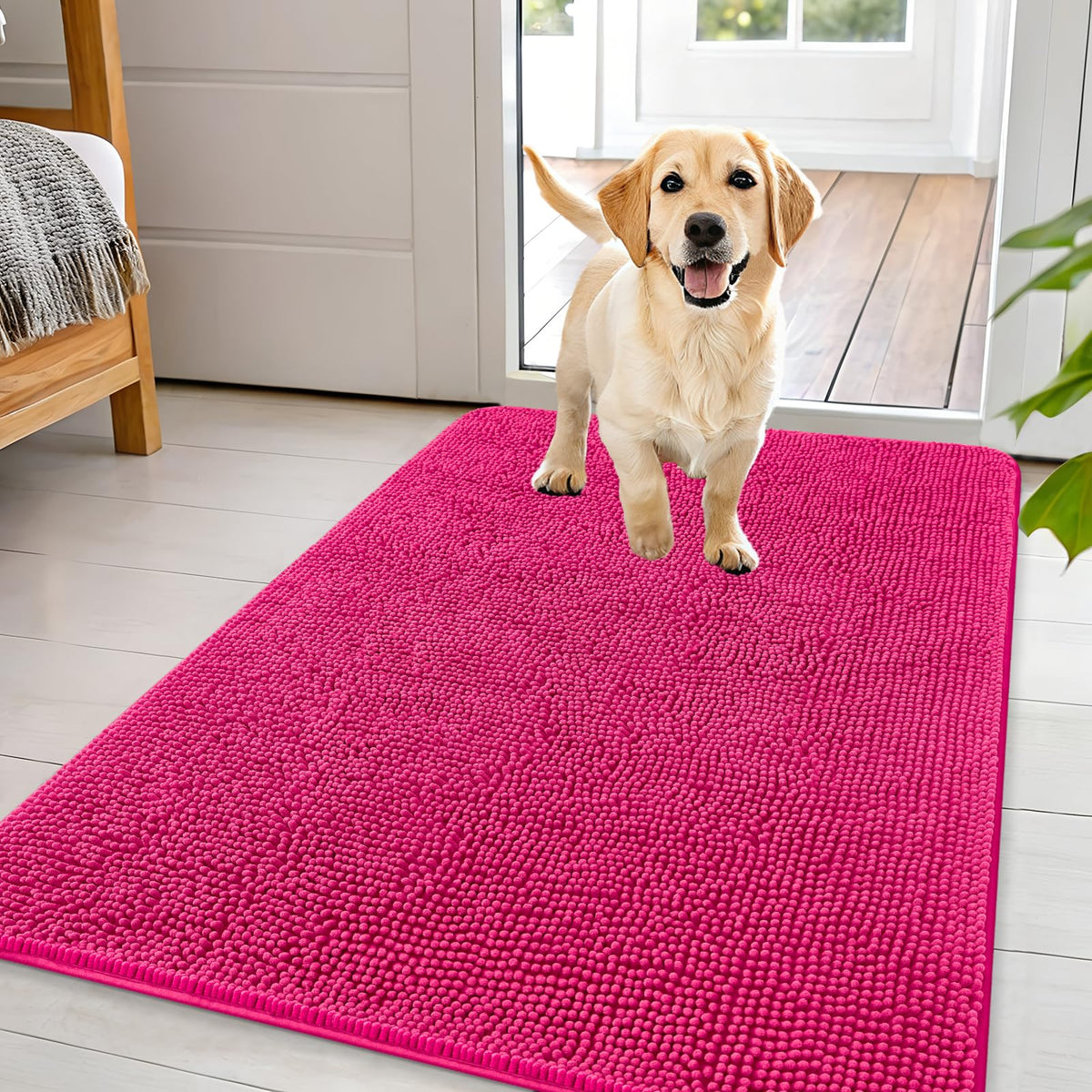 OLANLY Dog Door Mat for Muddy Paws 44x32, Super Absorbent Chenille Mud Mat
