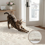 Luxturiy 5x7 Area Rugs Living Room: Bedroom Washable Carpet Beige White