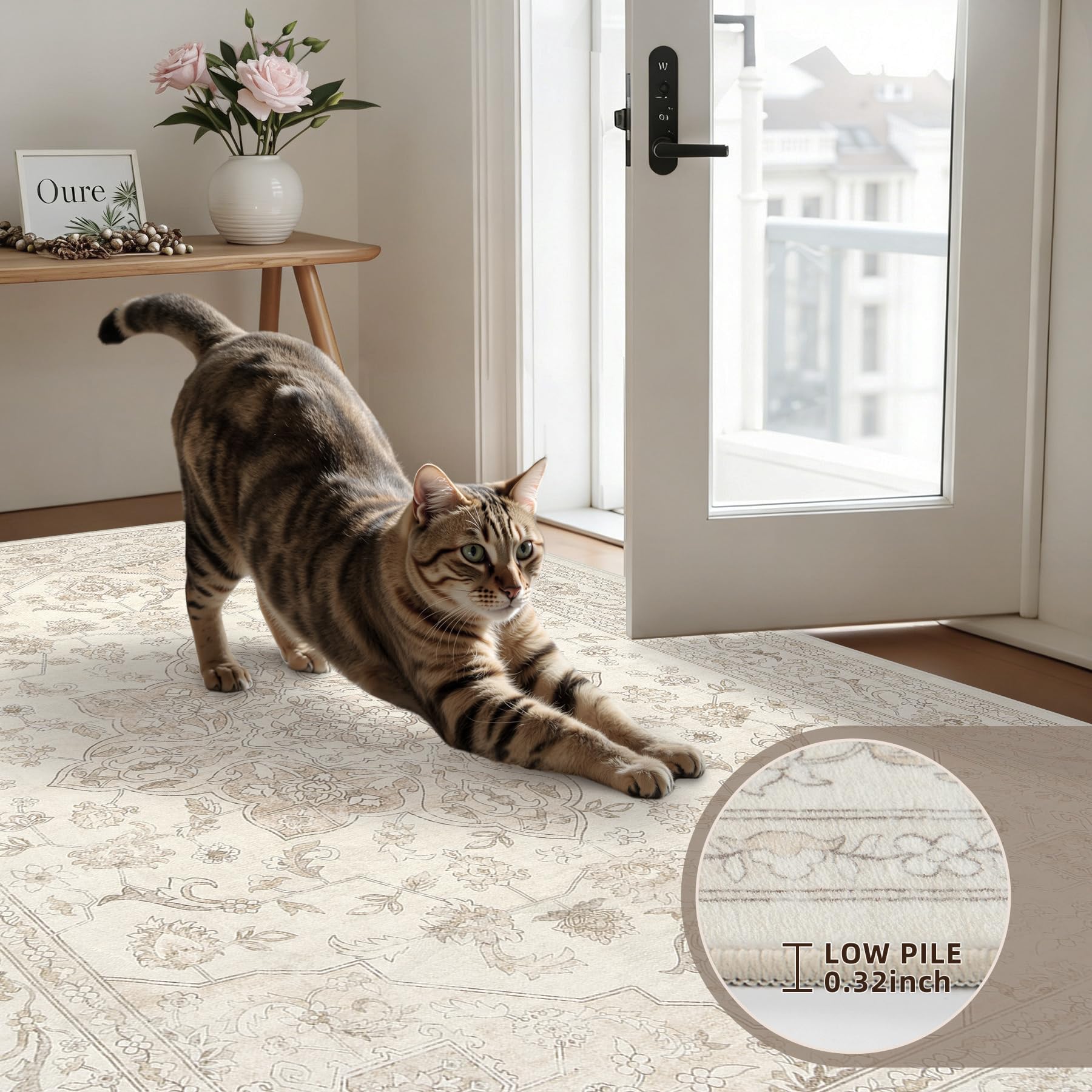 Luxturiy 5x7 Area Rugs Living Room: Bedroom Washable Carpet Beige White