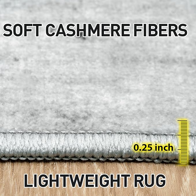 4x6 Area Rugs Washable Rug: Modern Abstract Living Room Rug Soft Anti-Skid Thin Carpet Indoor Floor Non-Shedding Carpets for Bedroom Dining Room Farmhouse Nursery Home Office Black White Grey