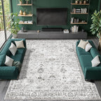 Babovid Grey Area Rug 6x9 for Living Room Bedroom