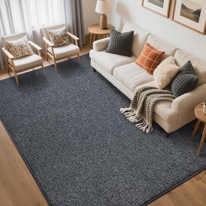 5x7 Grey Area Rug Non-Slip Washable Soft Thin for Living Room Bedroom