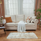 EasyJoy Ultra Soft Fluffy Shaggy Area Rug Faux Fur Rug Chair Cover Seat Pad Fuzzy Area Rug for Bedroom Floor Sofa Living Room (2 x 4 ft Rectangle, Beige)