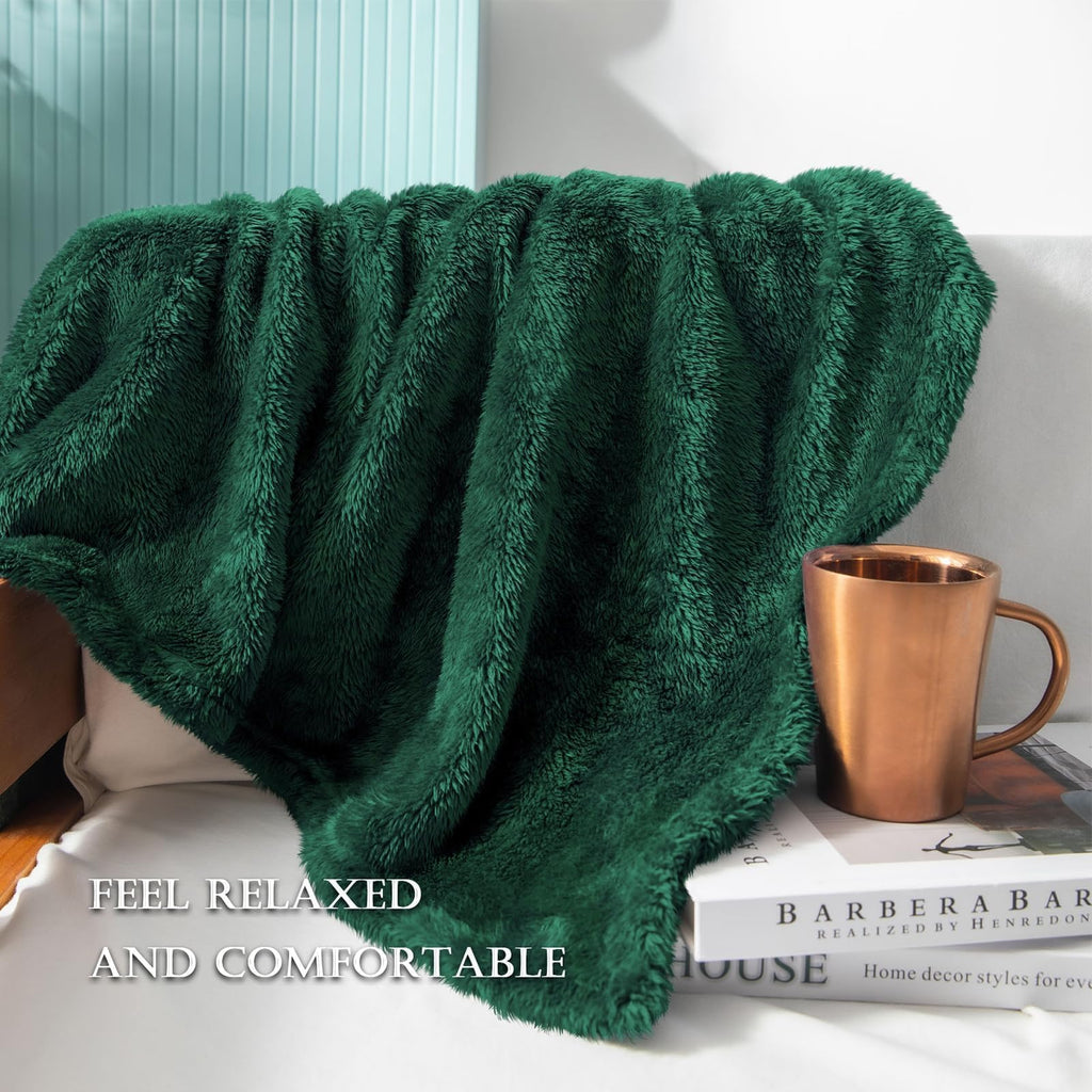Exclusivo Mezcla Fuzzy Large Fleece Throw Blanket for Couch, Forest Green